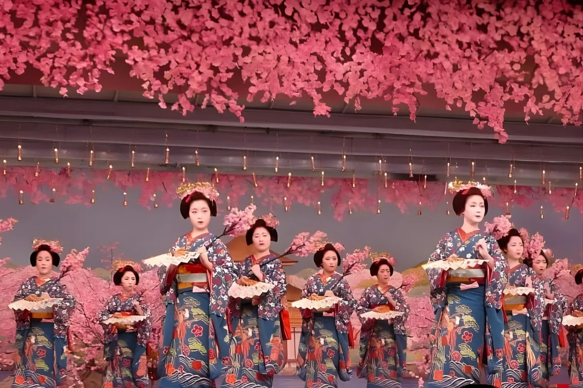 Japan Cherry Blossom