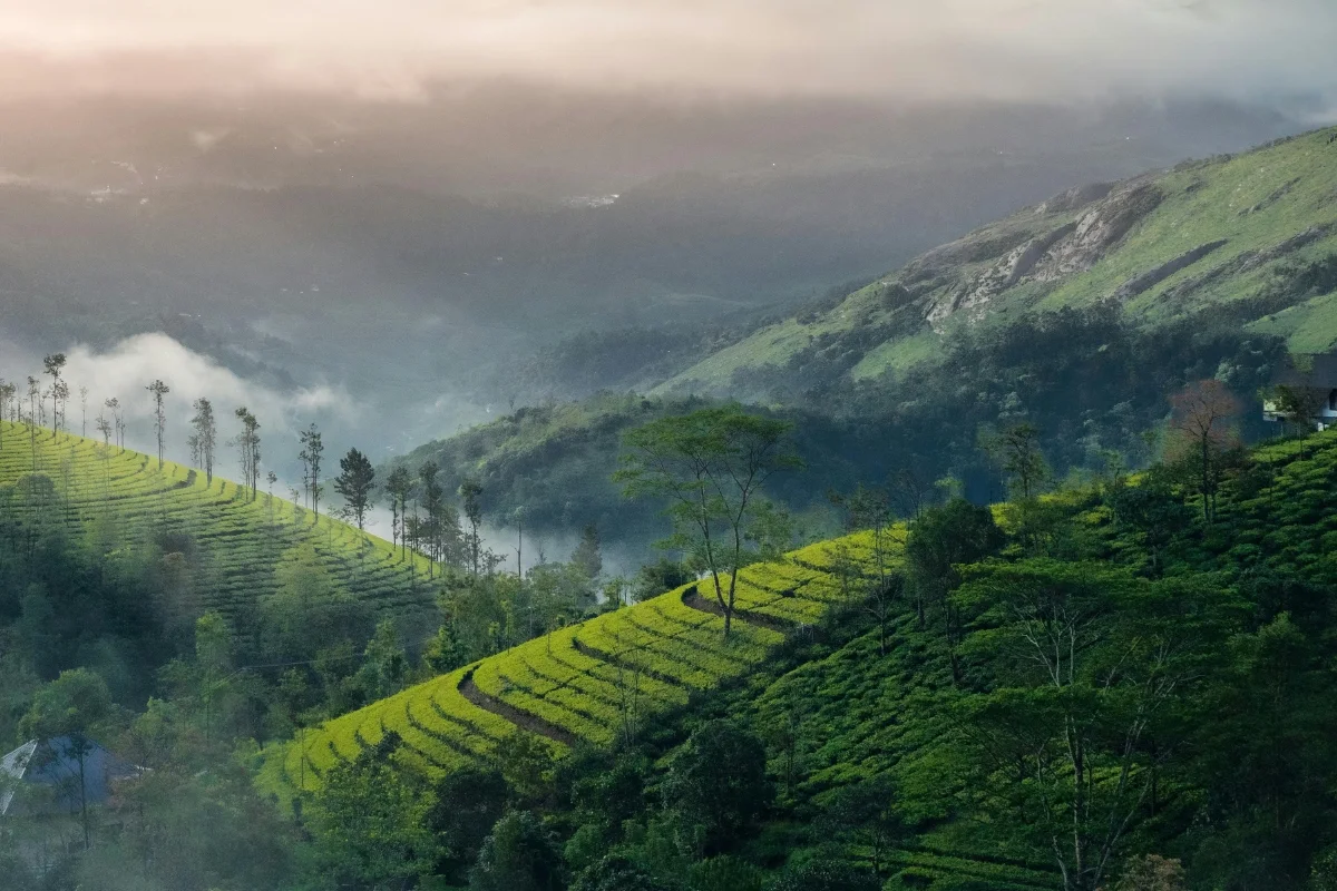 Kerala Backwaters Houseboat