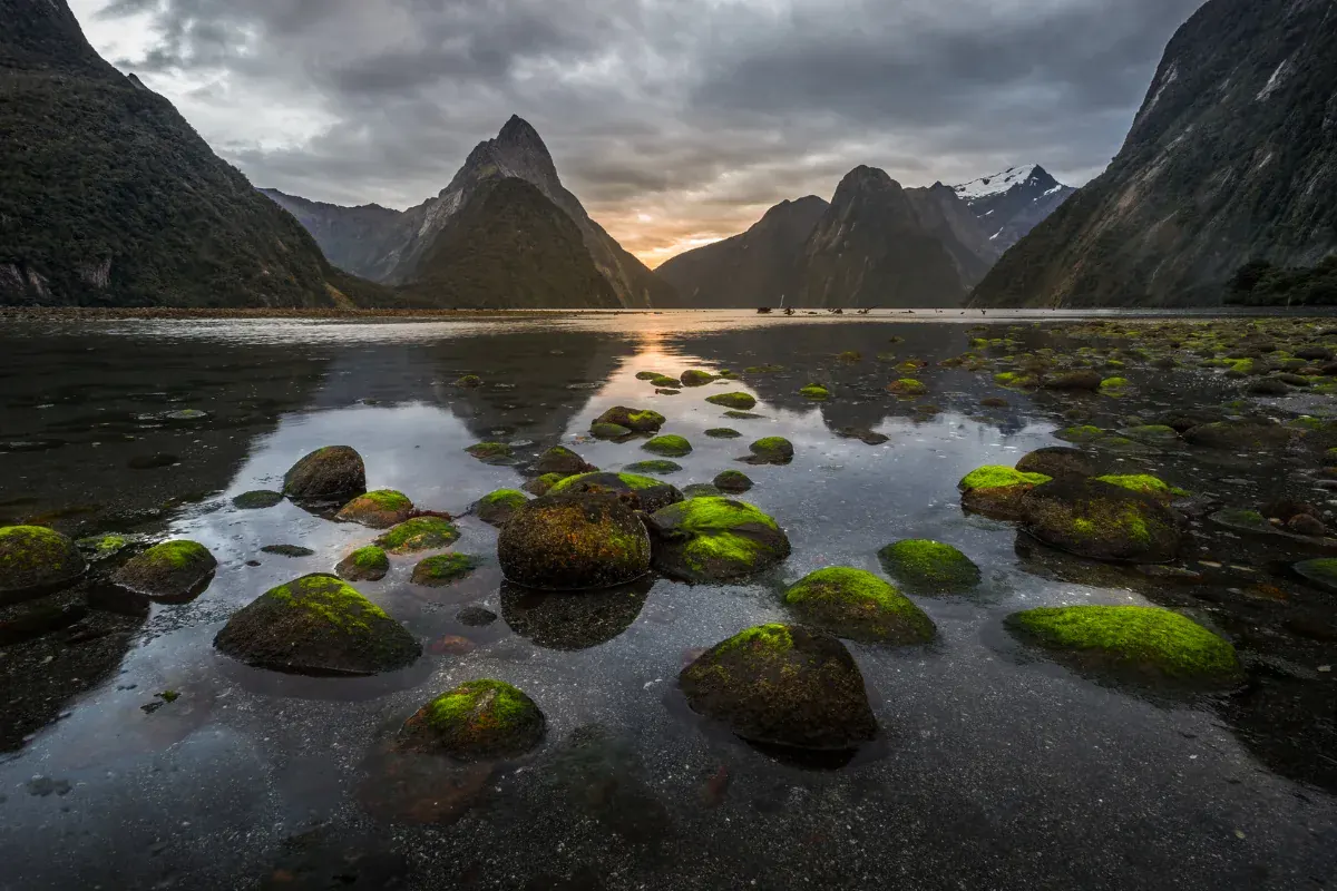 New Zealand Adventure