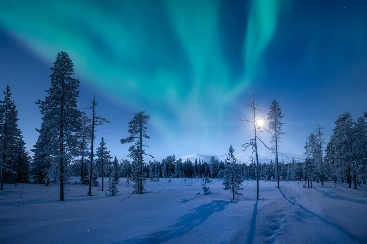 Finland Visitor Visa